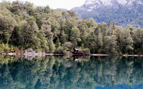Η «μαζική απώλεια» σε όρους πληθυσμών και ειδών «είναι ένα προοίμιο στην εξαφάνιση πολυάριθμων άλλων ειδών και στην υποβάθμιση οικοσυστημάτων που καθιστούν δυνατό τον πολιτισμό».