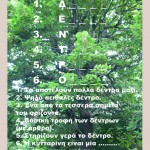 -ΤΟΥ-ΔΕΝΤΡΟΥ-11