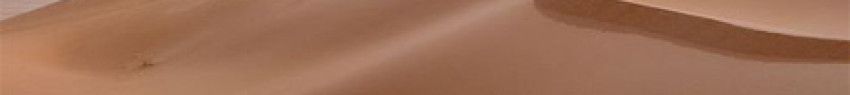 amos_teelionei_1
