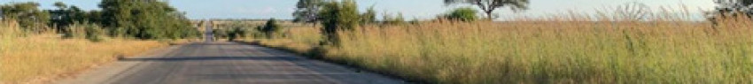Richard Sowry/Kruger National Park
