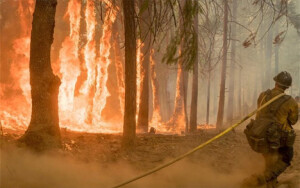 REUTERS/USFS/Yosemite National Park