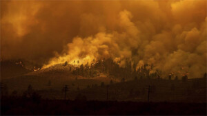 AP Photo/Noah Berger