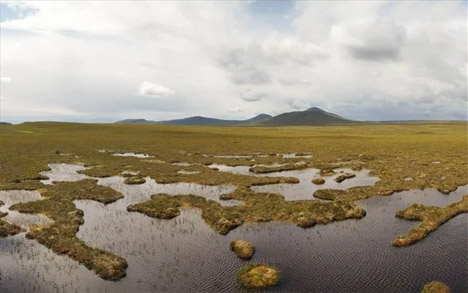 Στην φωτογραφία εικονίζεται μια περιοχή με τύρφη στη Σκωτία. Το μόνιμο στρώμα πάγου σε τέτοιες περιοχές εξαφανίζεται αφήνοντας έτσι να διαρρεύσει στην ατμόσφαιρα διοξείδιο του άνθρακα που ήταν για χιλιάδες χρόνια εγκλωβισμένο εκεί. - Wetlands International Wetlands/Picasa