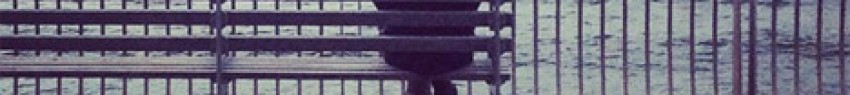monaxia_usa