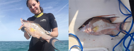 Η Λόρι Σουάικερτ δείχνει ένα γουρουνόψαρο που έπιασε στα Φλόριντα Κιζ. Δεξιά, το νεκρό ψάρι δείχνει να μιμείται το πιτσιλωτό δάπεδο ( Lori Schweikert)